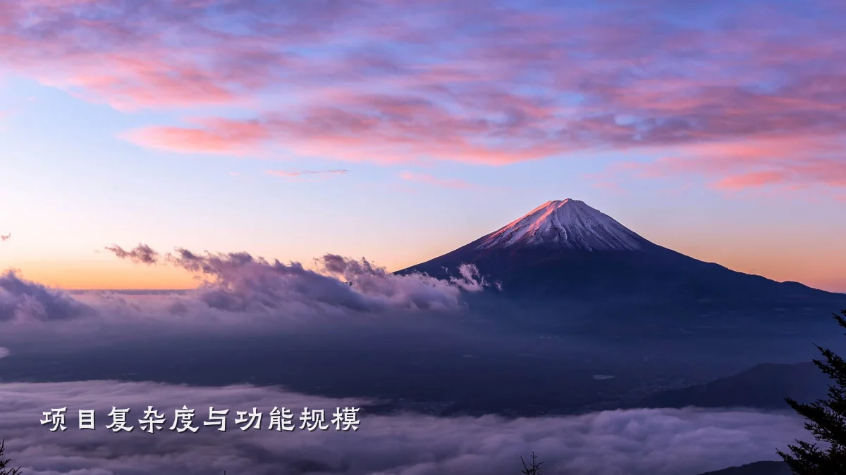 项目复杂度与功能规模