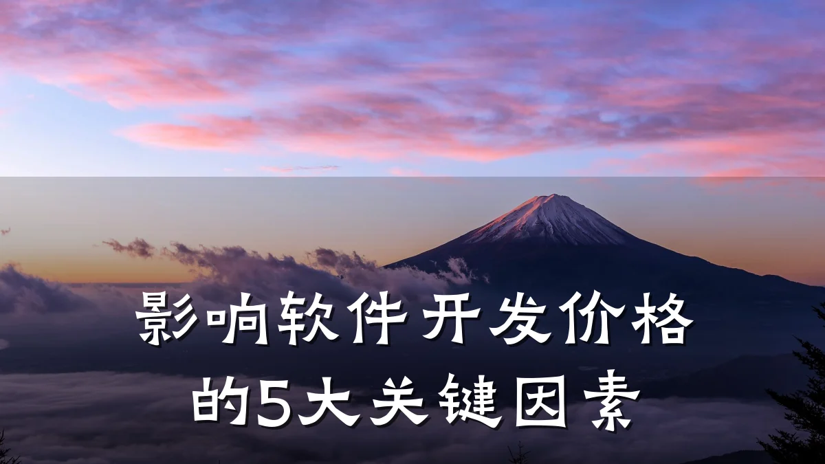 影响软件开发价格的5大关键因素