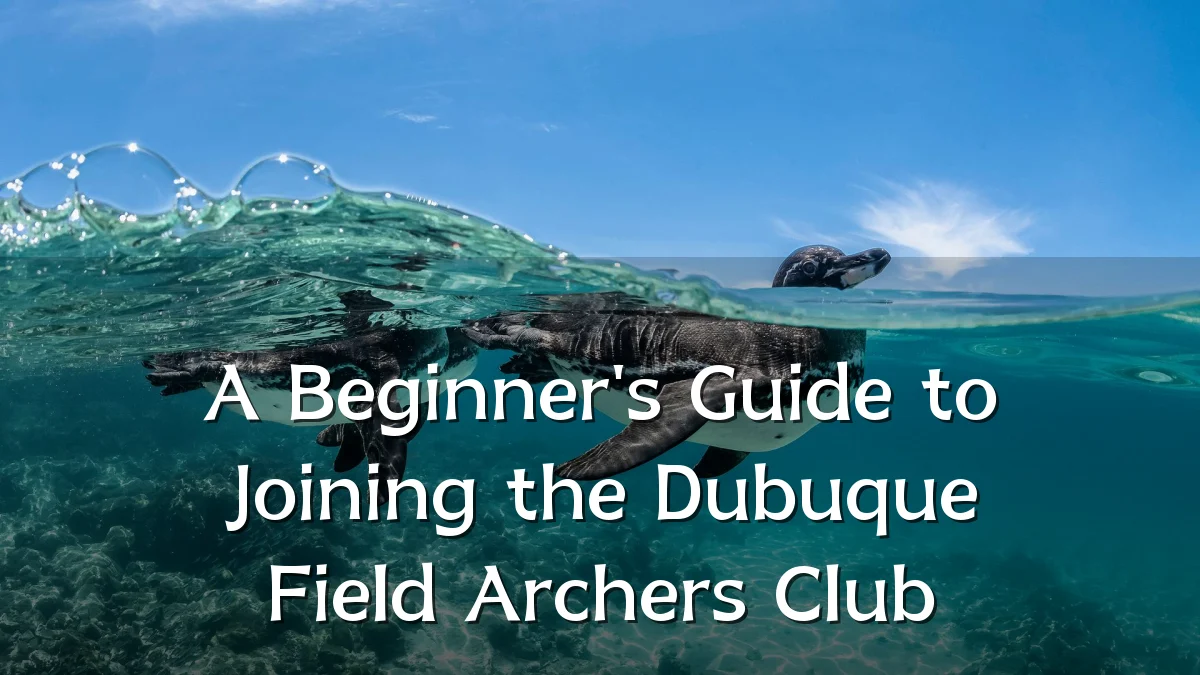 A Beginner's Guide to Joining the Dubuque Field Archers Club
