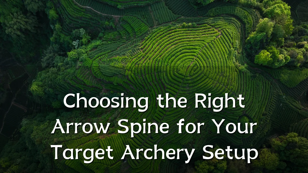 Choosing the Right Arrow Spine for Your Target Archery Setup