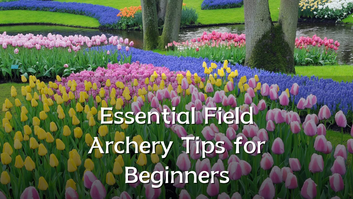 Essential Field Archery Tips for Beginners