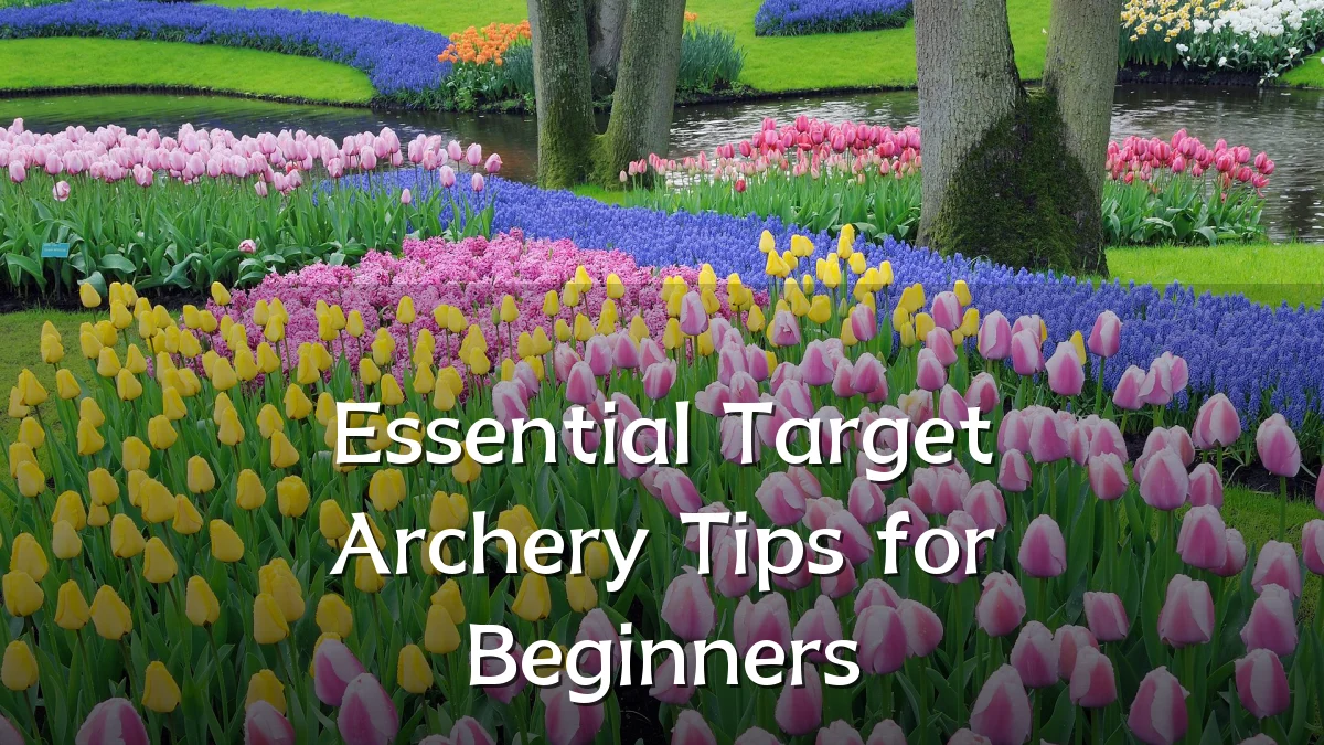 Essential Target Archery Tips for Beginners