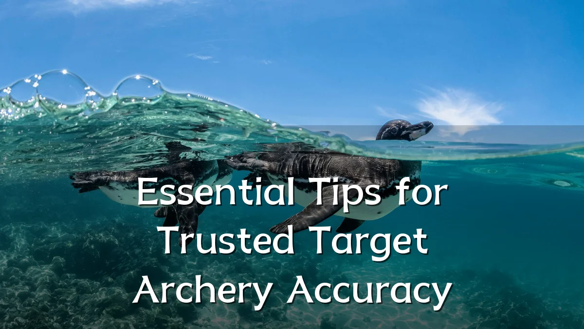 Essential Tips for Trusted Target Archery Accuracy