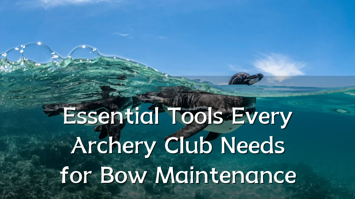 Essential Tools Every Archery Club Needs for Bow Maintenance