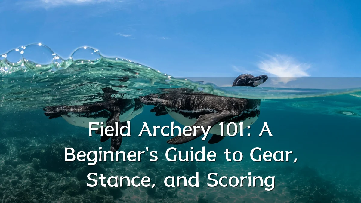 Field Archery 101: A Beginner's Guide to Gear, Stance, and Scoring