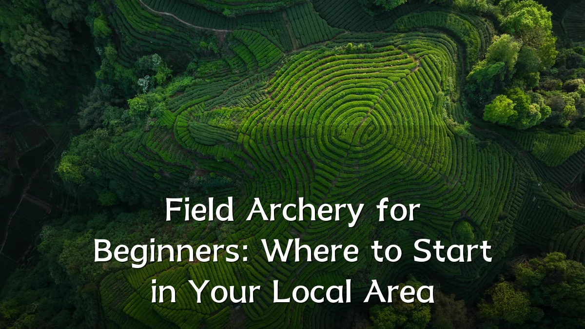 Field Archery for Beginners: Where to Start in Your Local Area