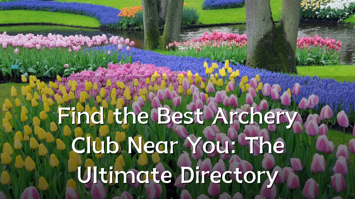 Find the Best Archery Club Near You: The Ultimate Directory