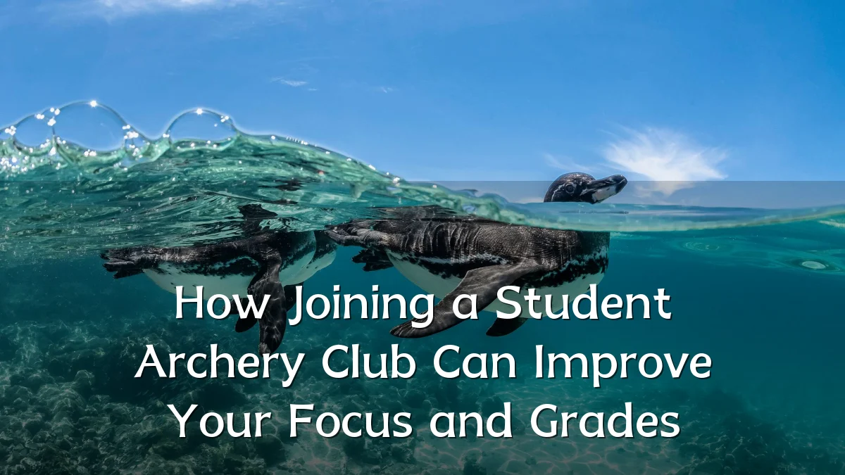 How Joining a Student Archery Club Can Improve Your Focus and Grades