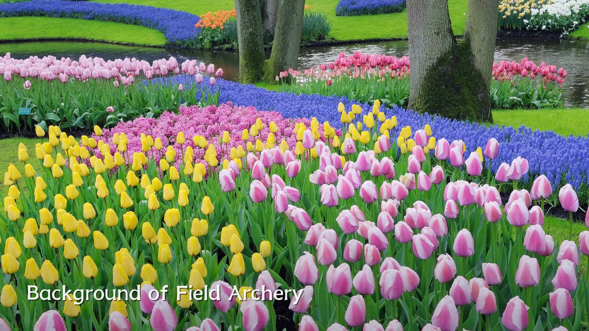 Background of Field Archery