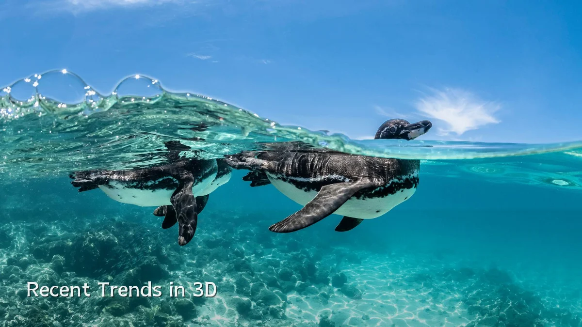 Recent Trends in 3D