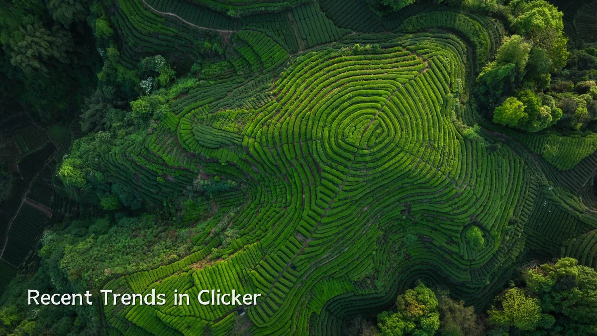 Recent Trends in Clicker