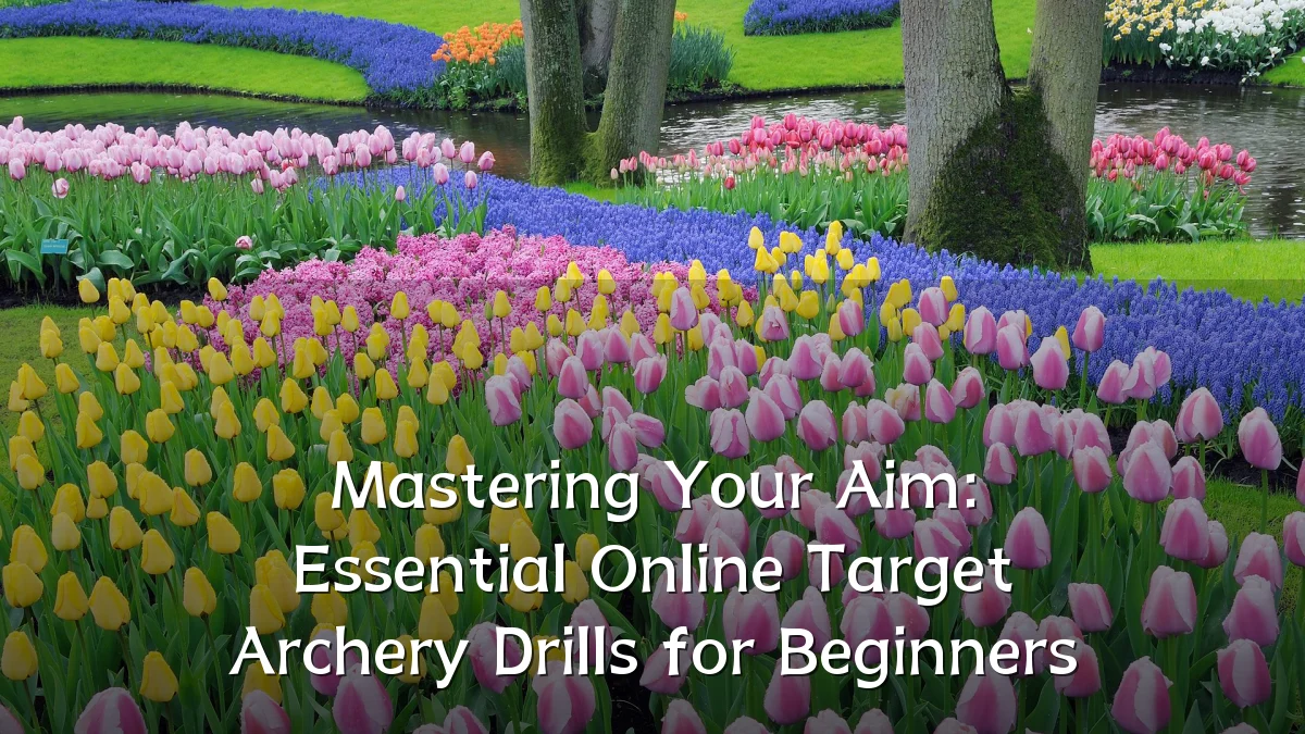 Mastering Your Aim: Essential Online Target Archery Drills for Beginners