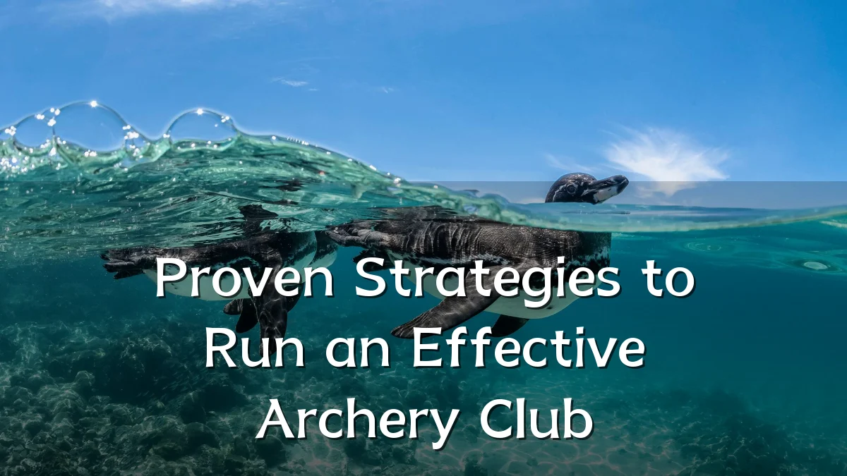 Proven Strategies to Run an Effective Archery Club