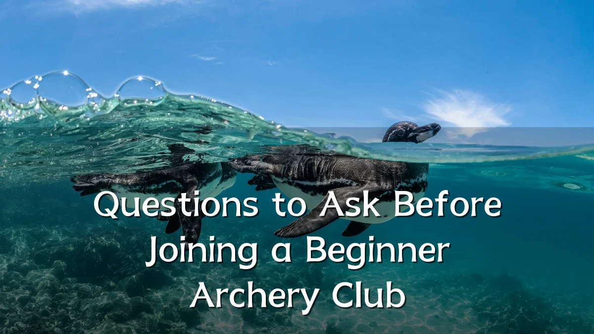 Questions to Ask Before Joining a Beginner Archery Club