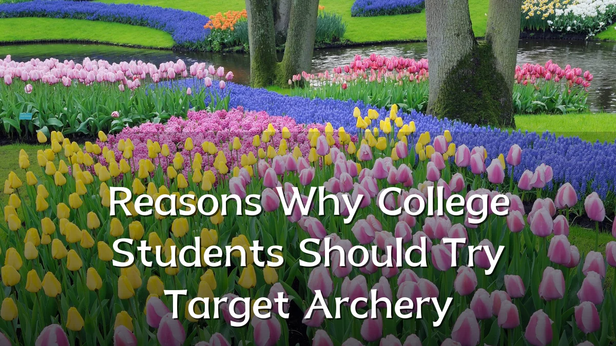 Reasons Why College Students Should Try Target Archery