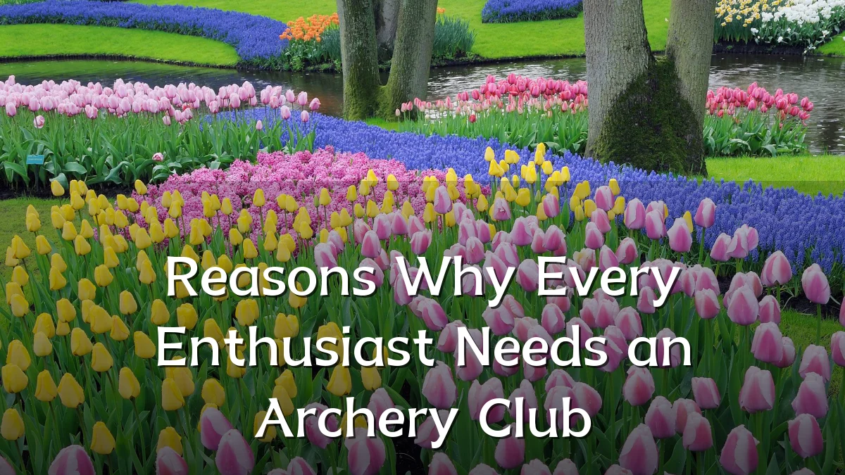 Reasons Why Every Enthusiast Needs an Archery Club