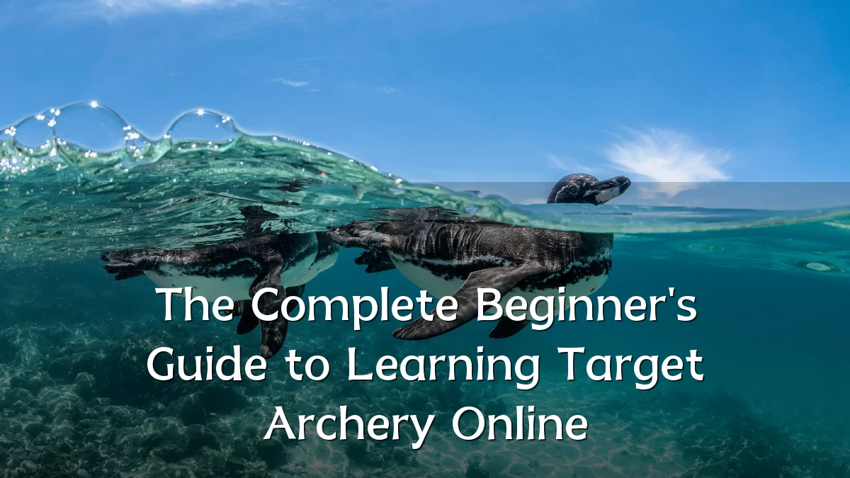 The Complete Beginner's Guide to Learning Target Archery Online