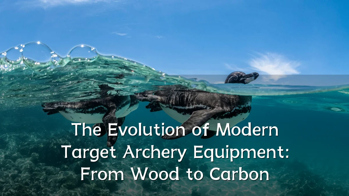 The Evolution of Modern Target Archery Equipment: From Wood to Carbon