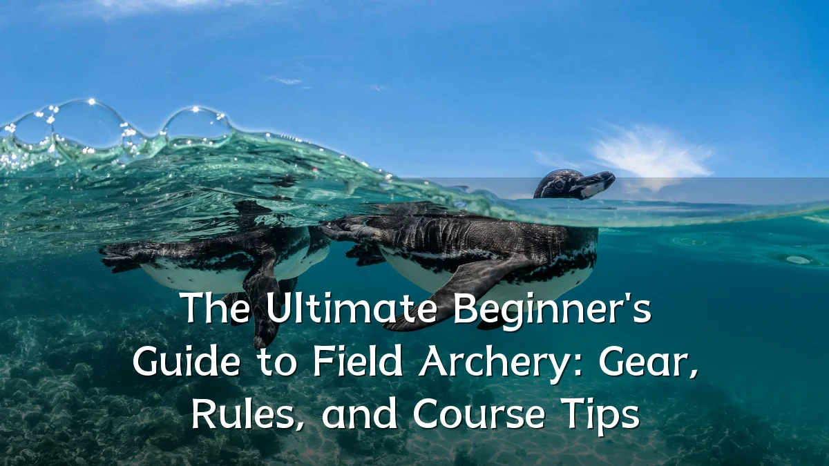 The Ultimate Beginner's Guide to Field Archery: Gear, Rules, and Course Tips