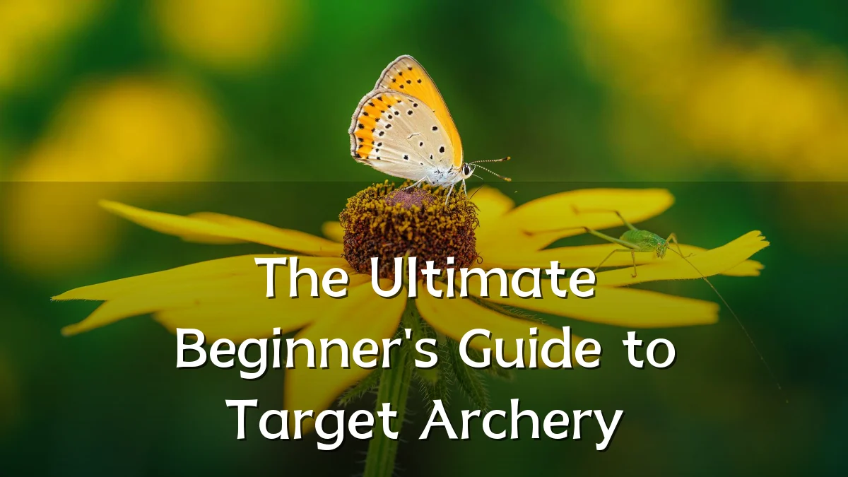 The Ultimate Beginner's Guide to Target Archery