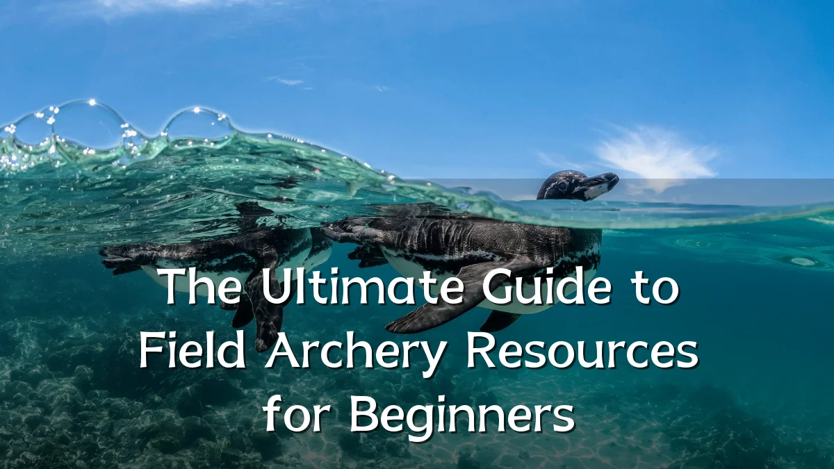 The Ultimate Guide to Field Archery Resources for Beginners