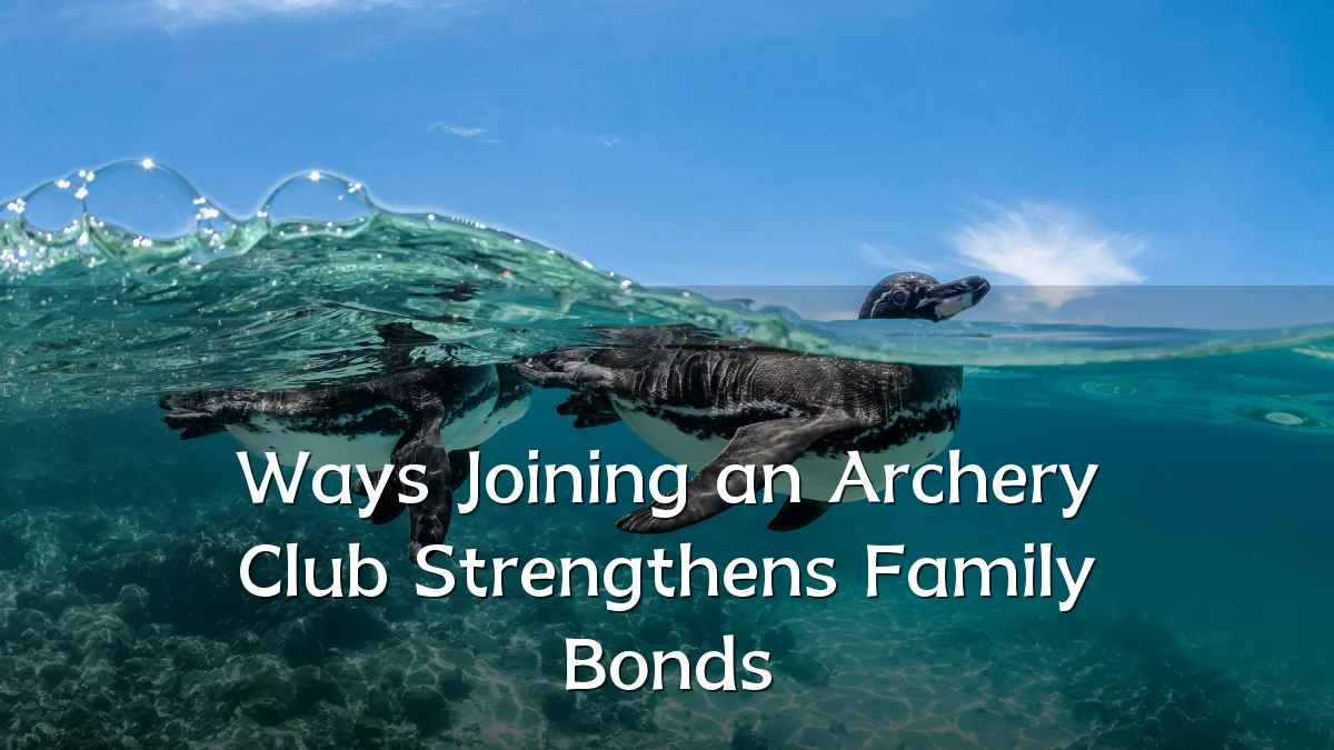 Ways Joining an Archery Club Strengthens Family Bonds