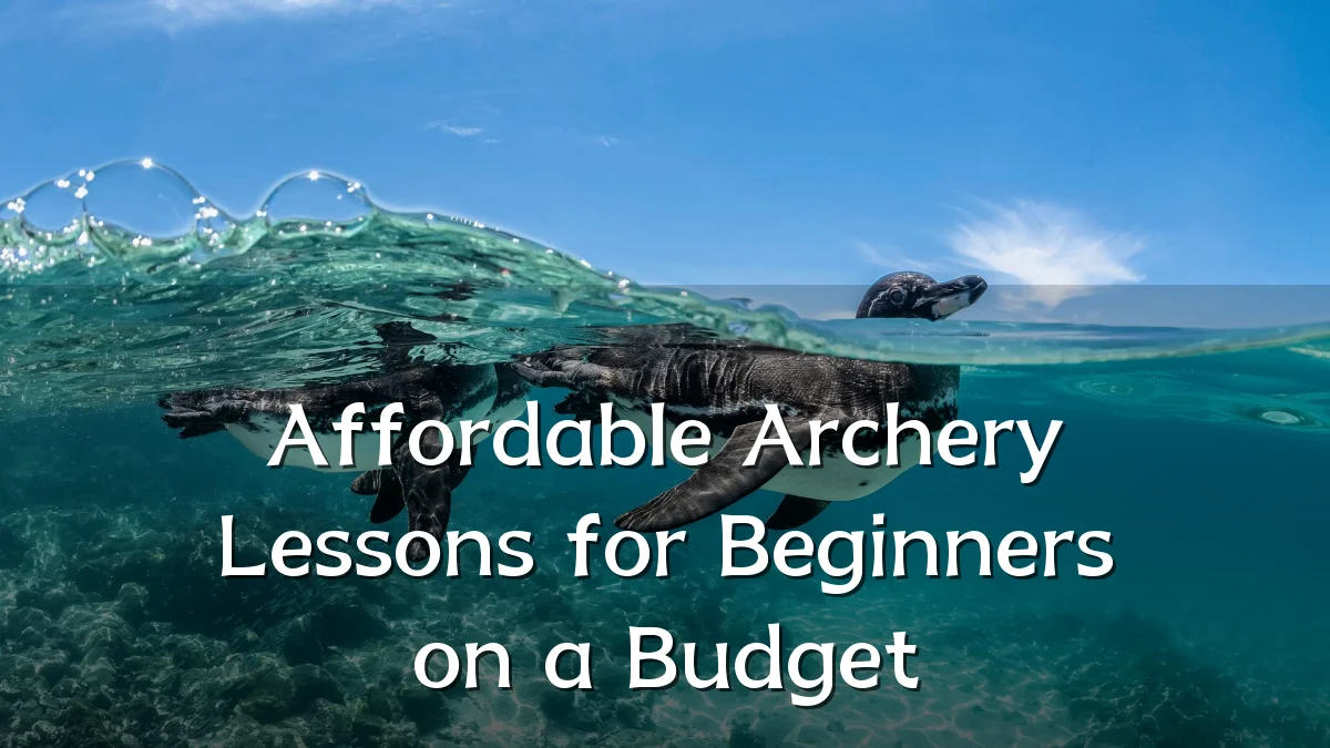 Affordable Archery Lessons for Beginners on a Budget