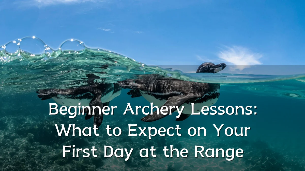 Beginner Archery Lessons: What to Expect on Your First Day at the Range