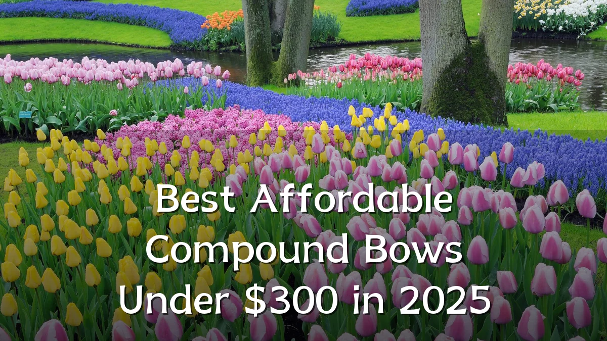 Best Affordable Compound Bows Under $300 in 2025