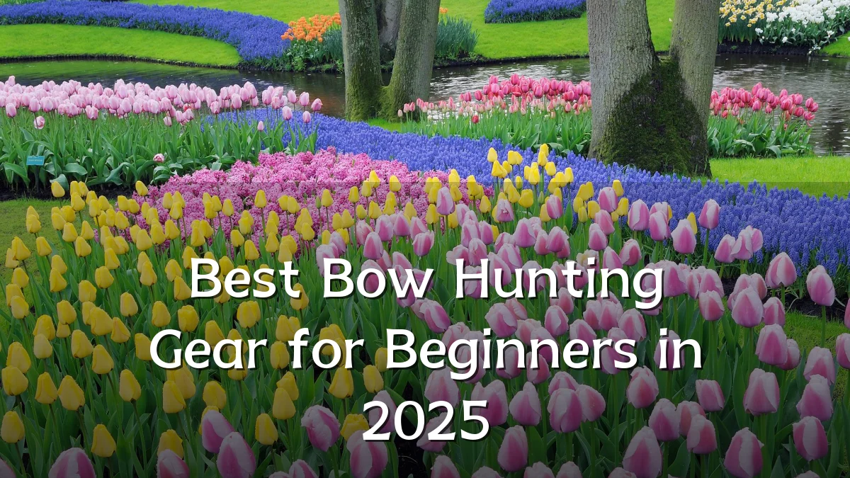 Best Bow Hunting Gear for Beginners in 2025