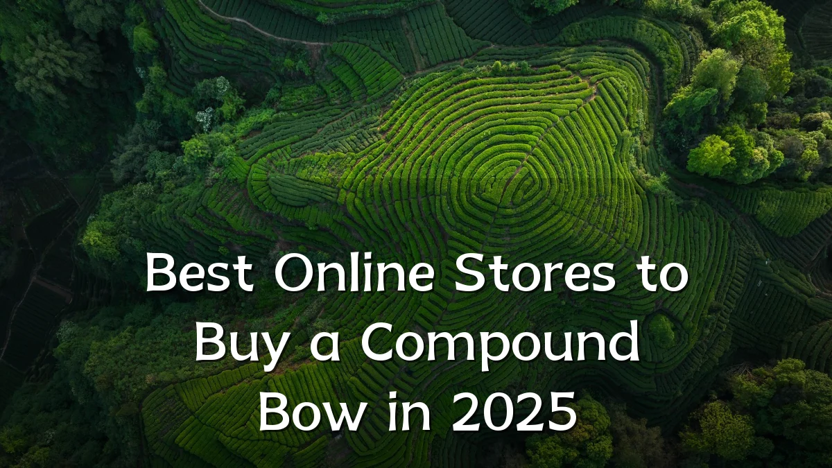 Best Online Stores to Buy a Compound Bow in 2025