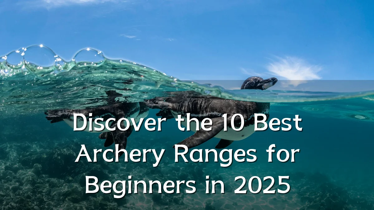 Discover the 10 Best Archery Ranges for Beginners in 2025