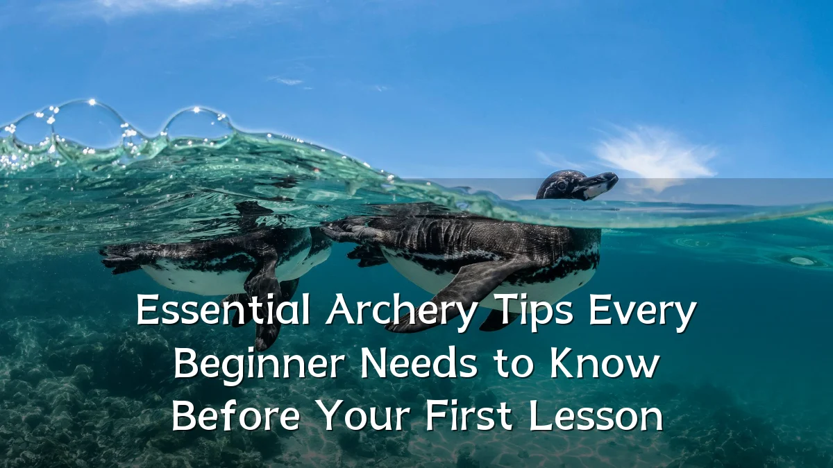 Essential Archery Tips Every Beginner Needs to Know Before Your First Lesson