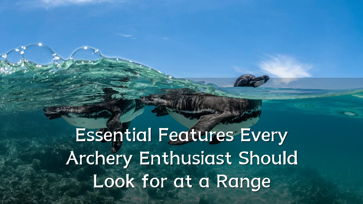 Essential Features Every Archery Enthusiast Should Look for at a Range