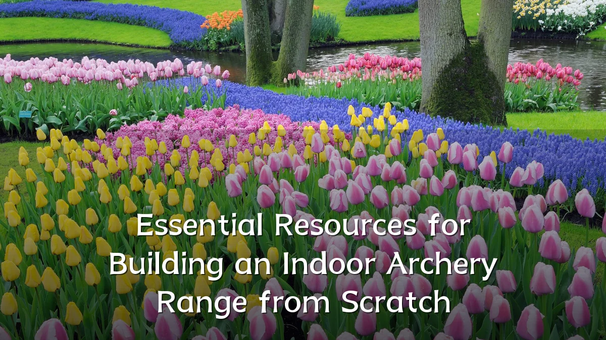 Essential Resources for Building an Indoor Archery Range from Scratch