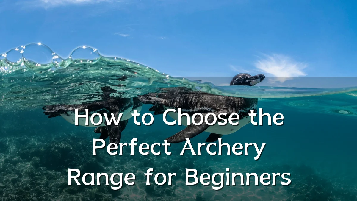 How to Choose the Perfect Archery Range for Beginners