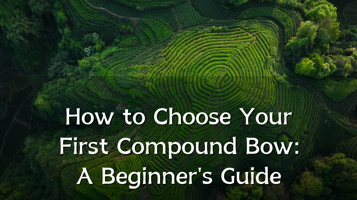 How to Choose Your First Compound Bow: A Beginner's Guide
