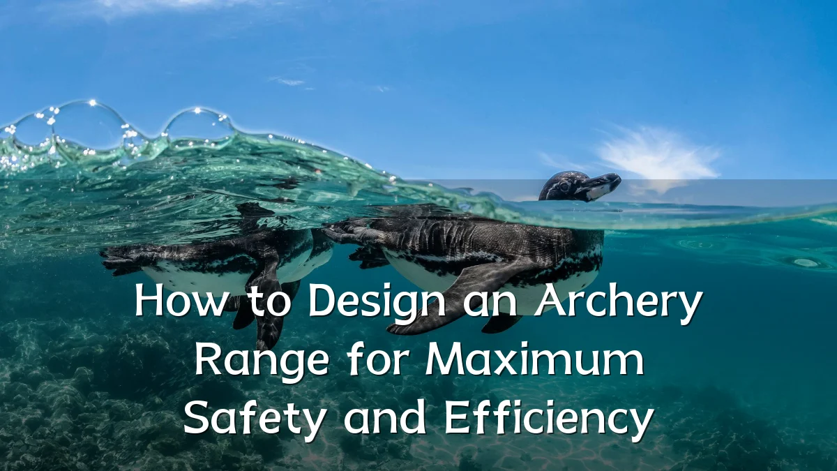 How to Design an Archery Range for Maximum Safety and Efficiency