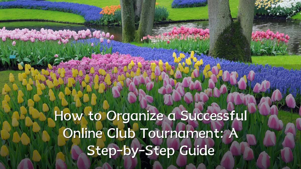 How to Organize a Successful Online Club Tournament: A Step-by-Step Guide