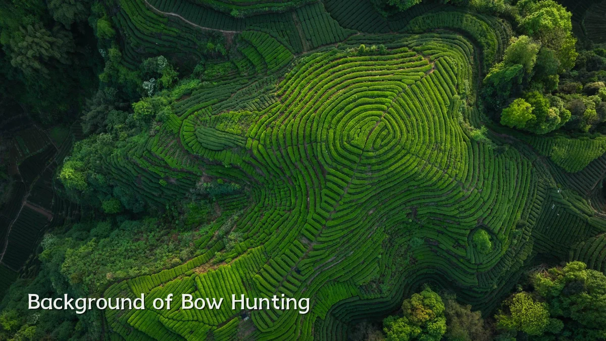 Background of Bow Hunting