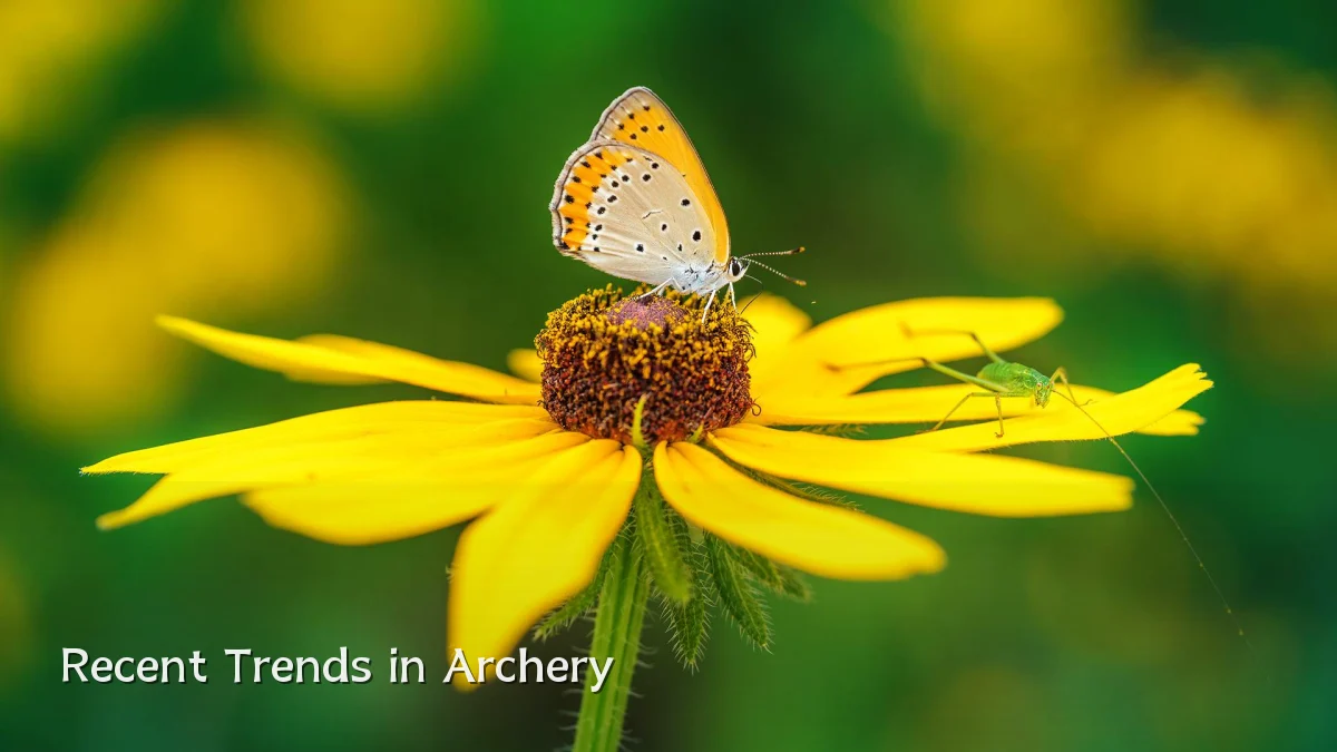 Recent Trends in Archery