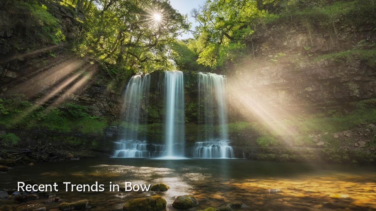 Recent Trends in Bow