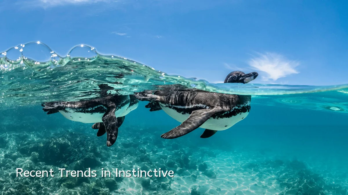 Recent Trends in Instinctive