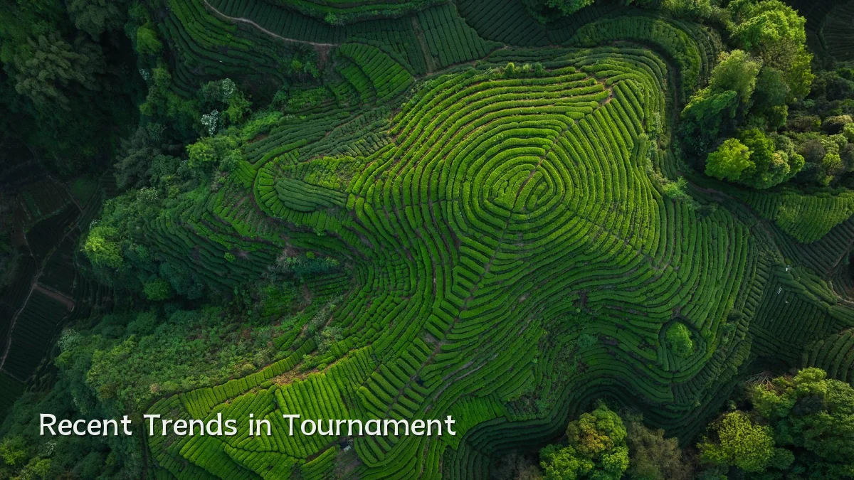 Recent Trends in Tournament