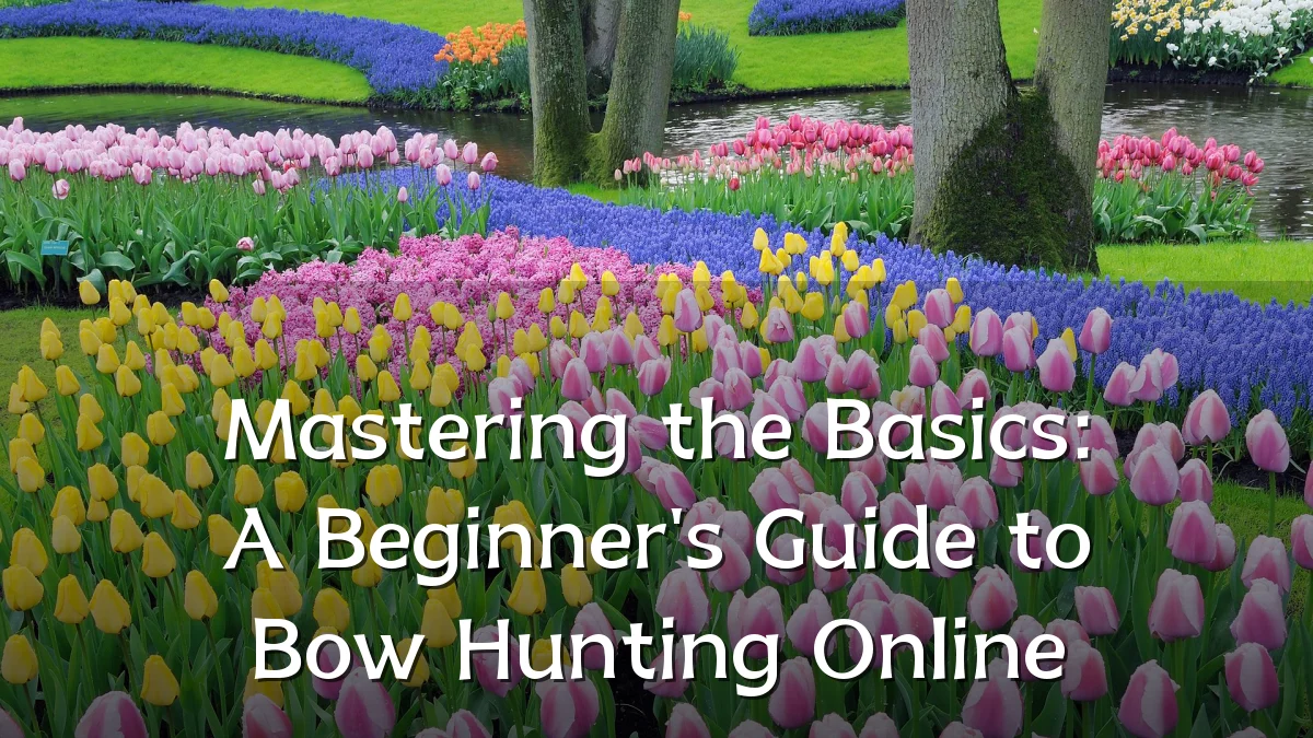Mastering the Basics: A Beginner's Guide to Bow Hunting Online