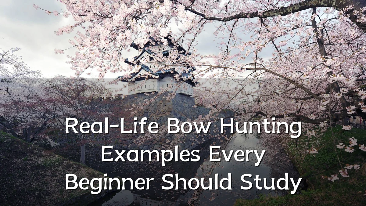 Real-Life Bow Hunting Examples Every Beginner Should Study