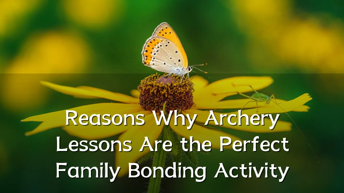 Reasons Why Archery Lessons Are the Perfect Family Bonding Activity