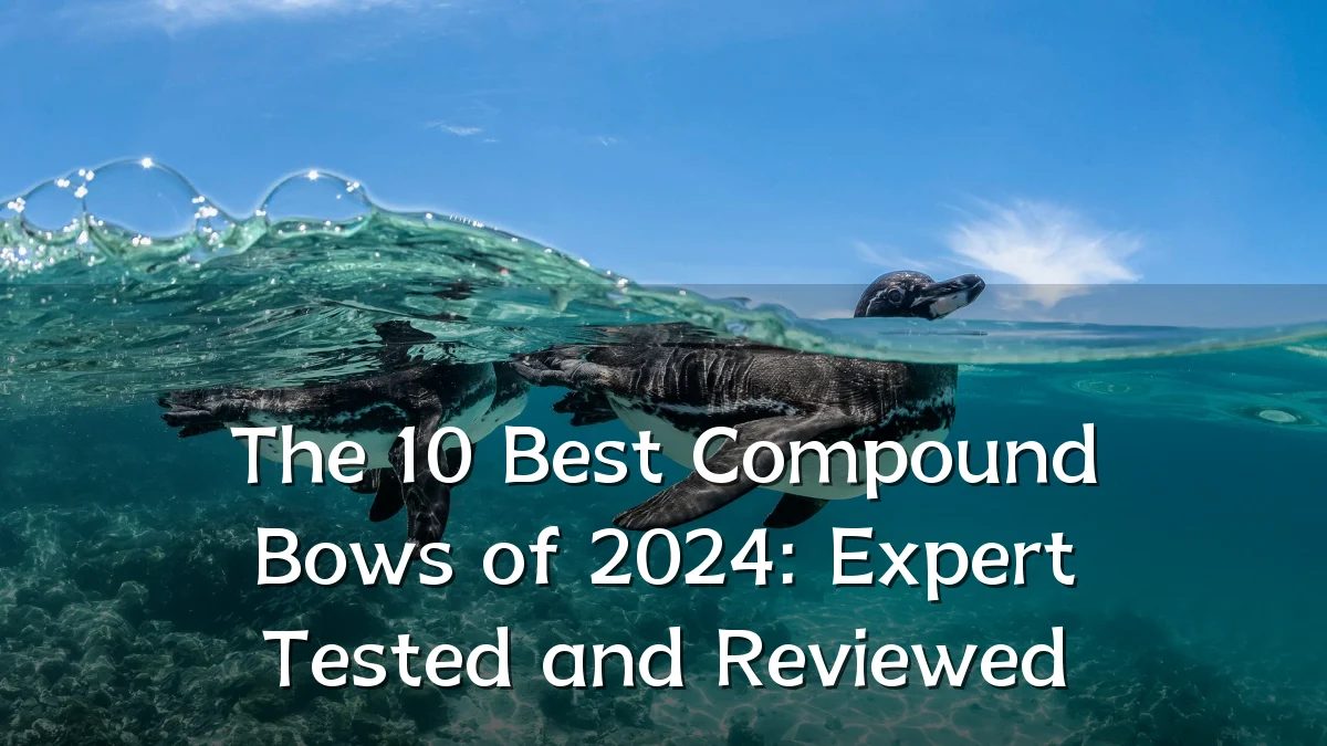 The 10 Best Compound Bows of 2024: Expert Tested and Reviewed