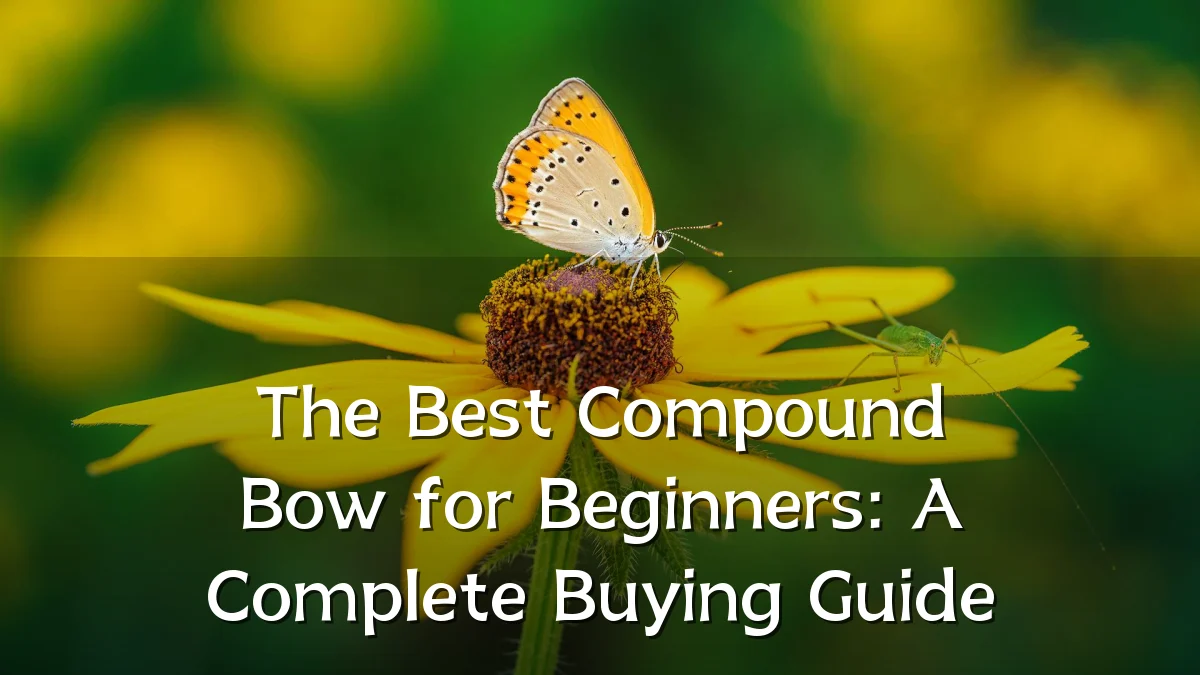 The Best Compound Bow for Beginners: A Complete Buying Guide