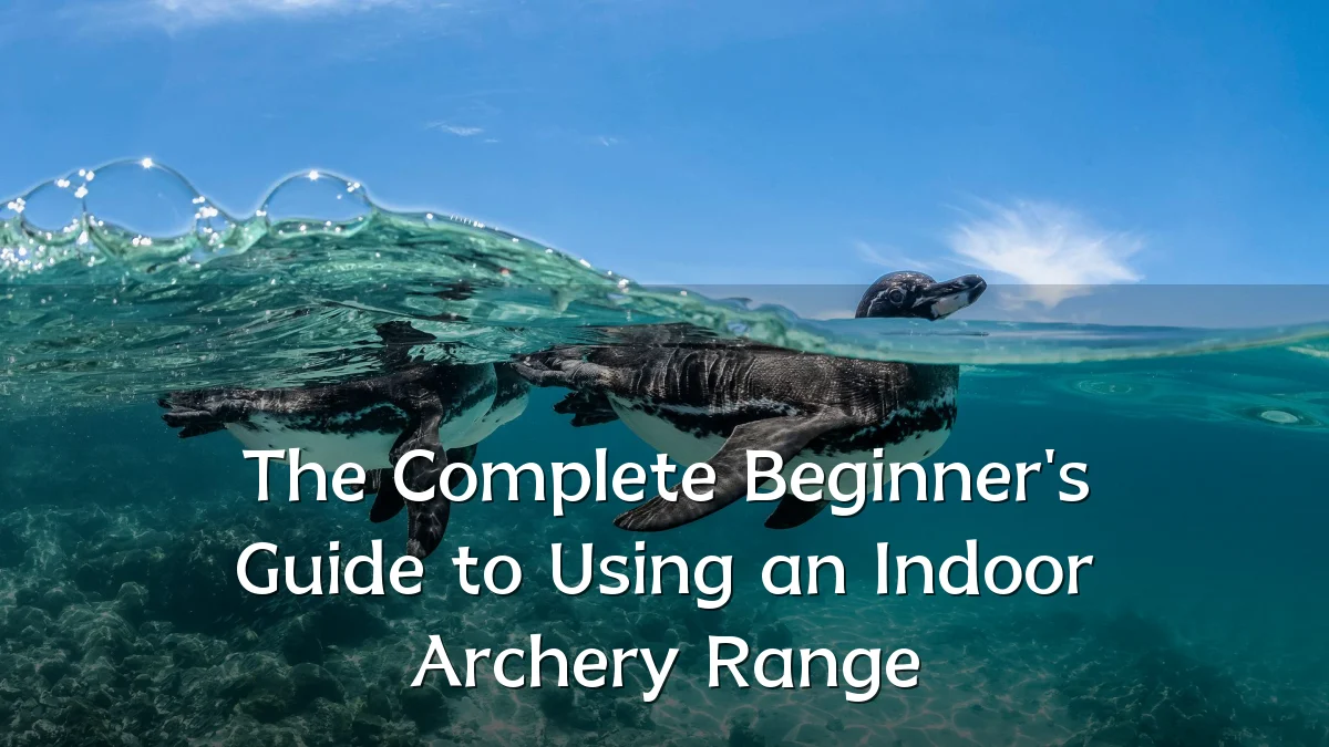 The Complete Beginner's Guide to Using an Indoor Archery Range
